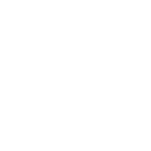 Baguette, le cheval blanc d’Anastazia
