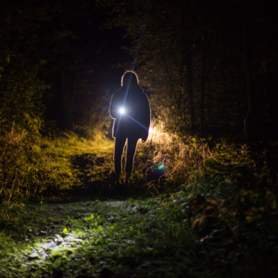 Vous retournez dans la for&ecirc;t.