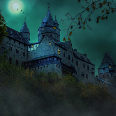  Faire un escape game dans le plus grand ch&acirc;teau d'Europe.